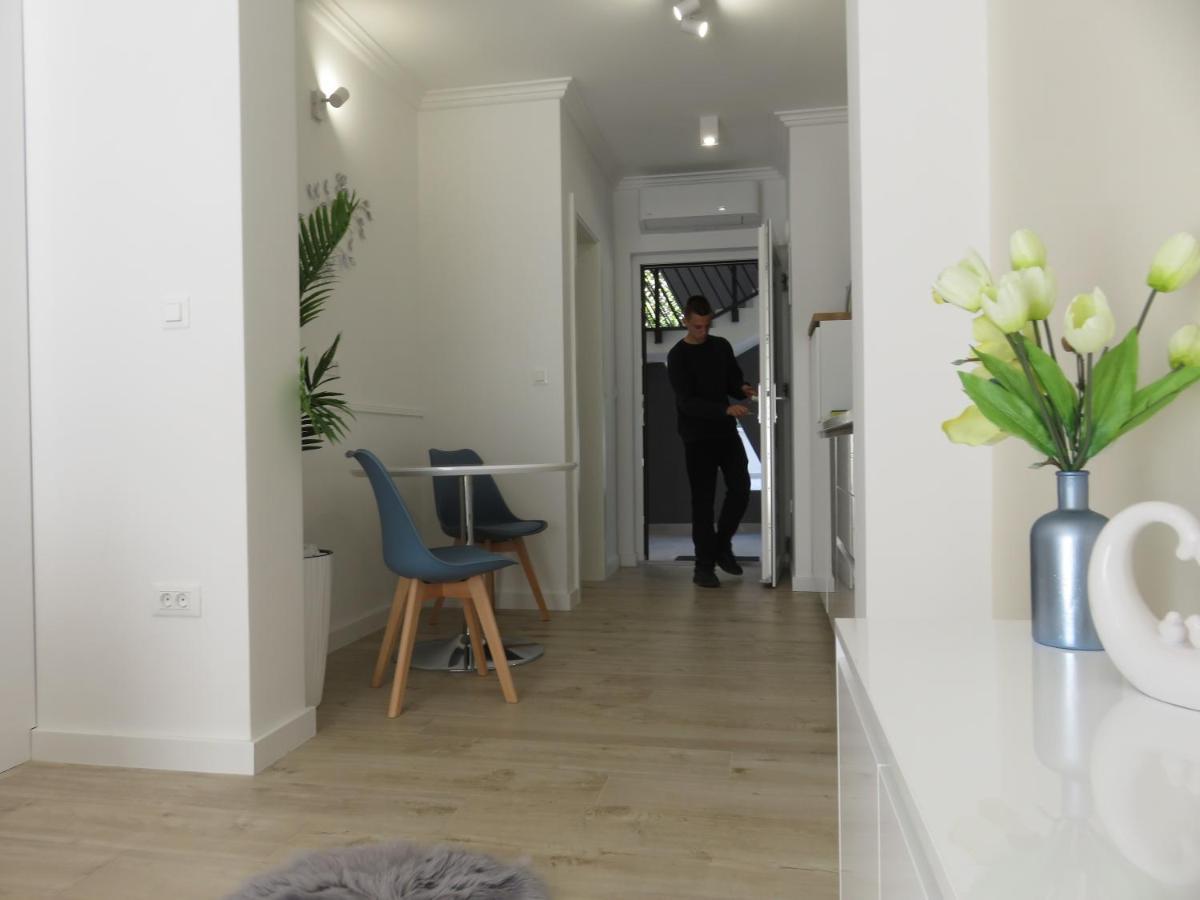 Maboka Studio Zadar Bagian luar foto