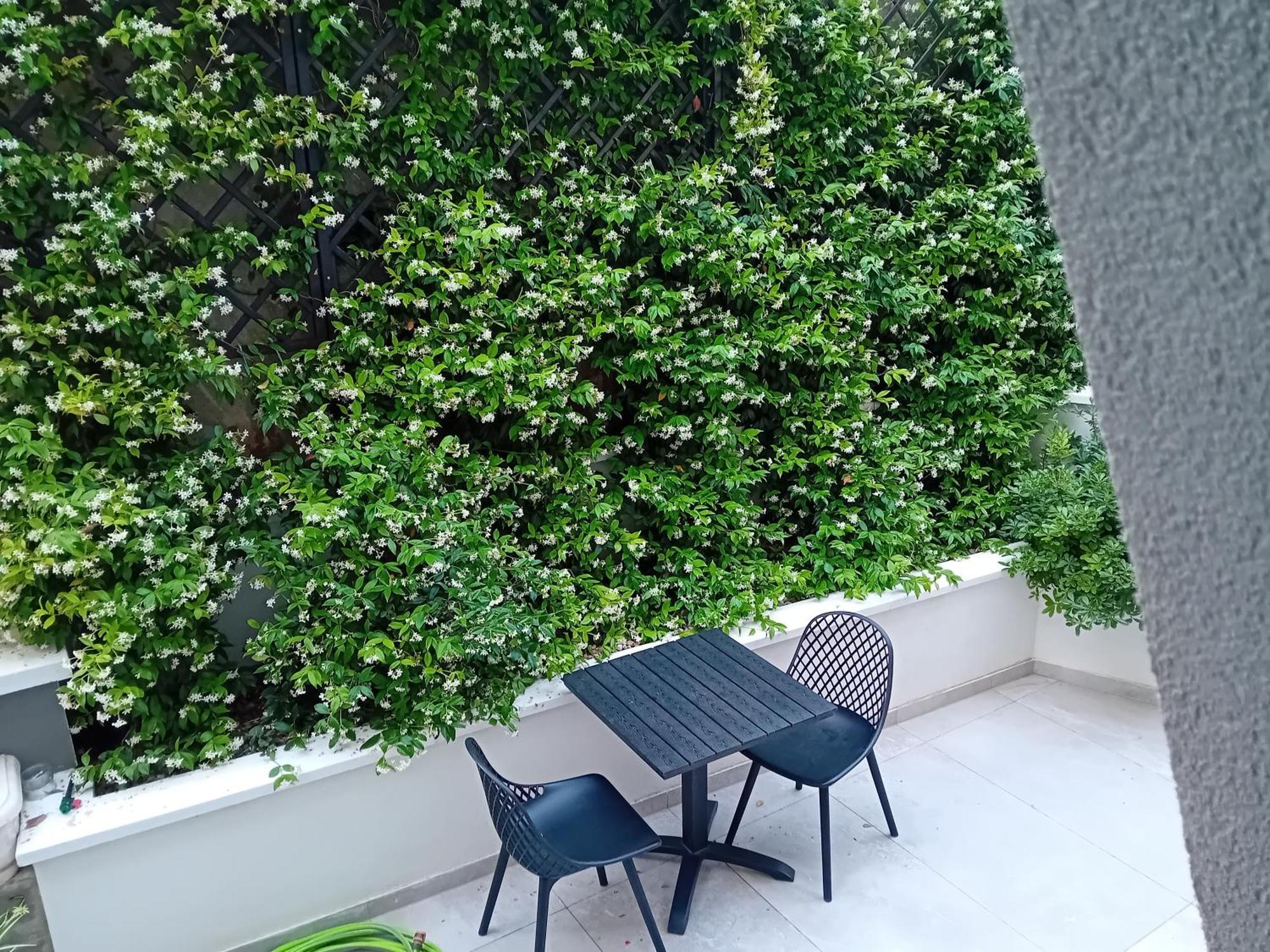 Maboka Studio Zadar Bagian luar foto